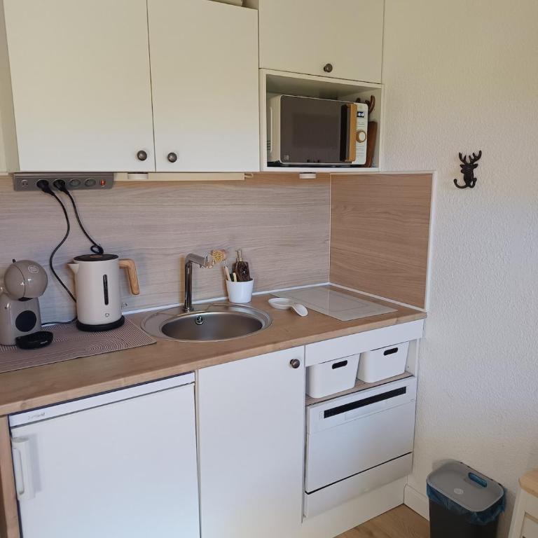 Appartement montagne 4 personnes - Appartement 1 Chambre - 11