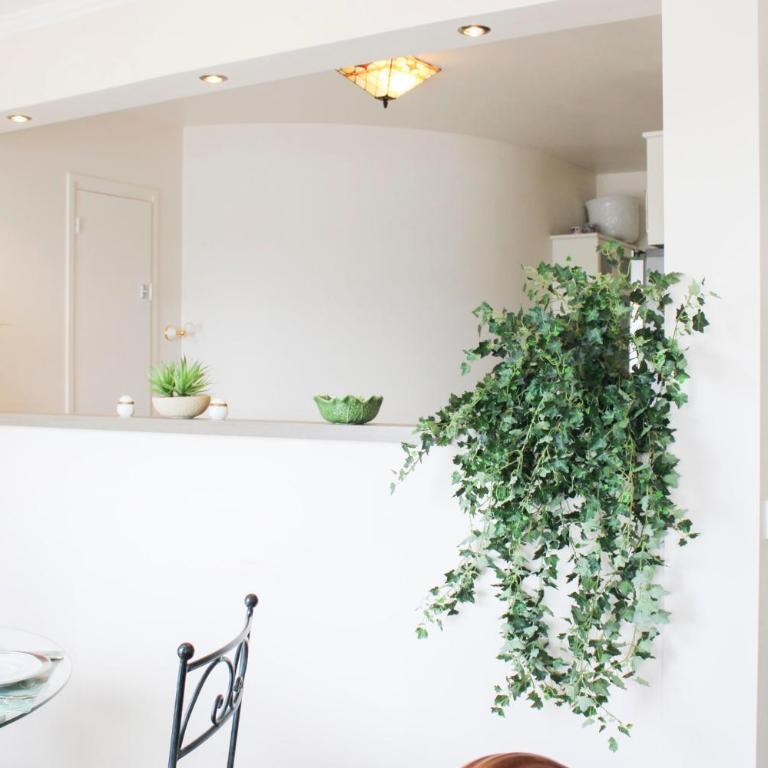 Appartement spacieux dans le 15e avec ascenseur - Appartement - 5