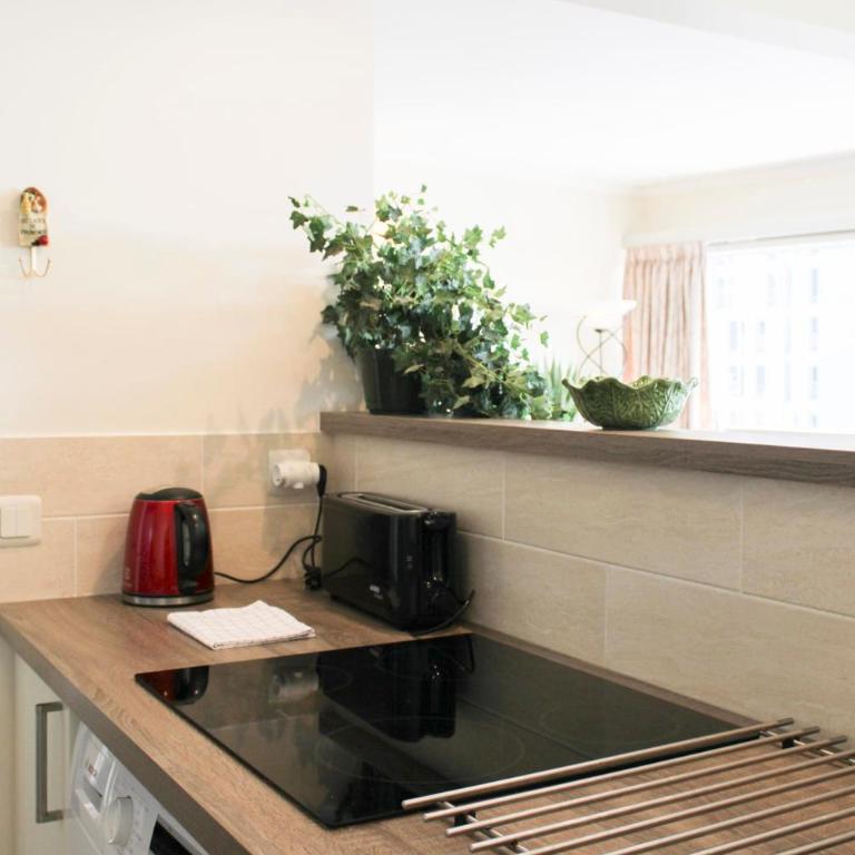 Appartement spacieux dans le 15e avec ascenseur - Appartement - 8