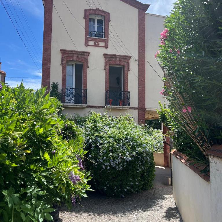 Tranquillité à 2 pas de la plage - Appartement 1 Chambre - 2
