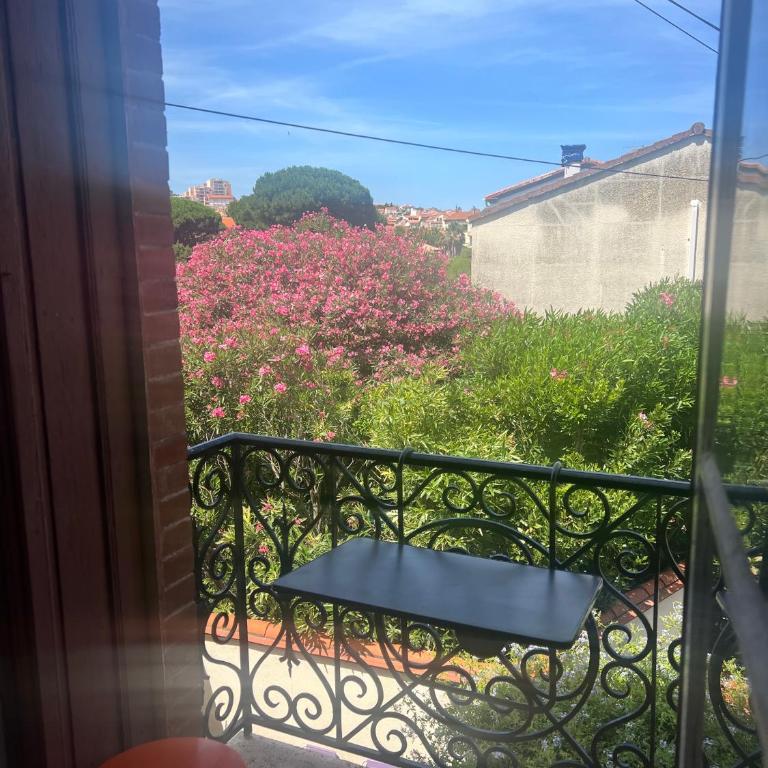 Tranquillité à 2 pas de la plage - Appartement 1 Chambre - 3