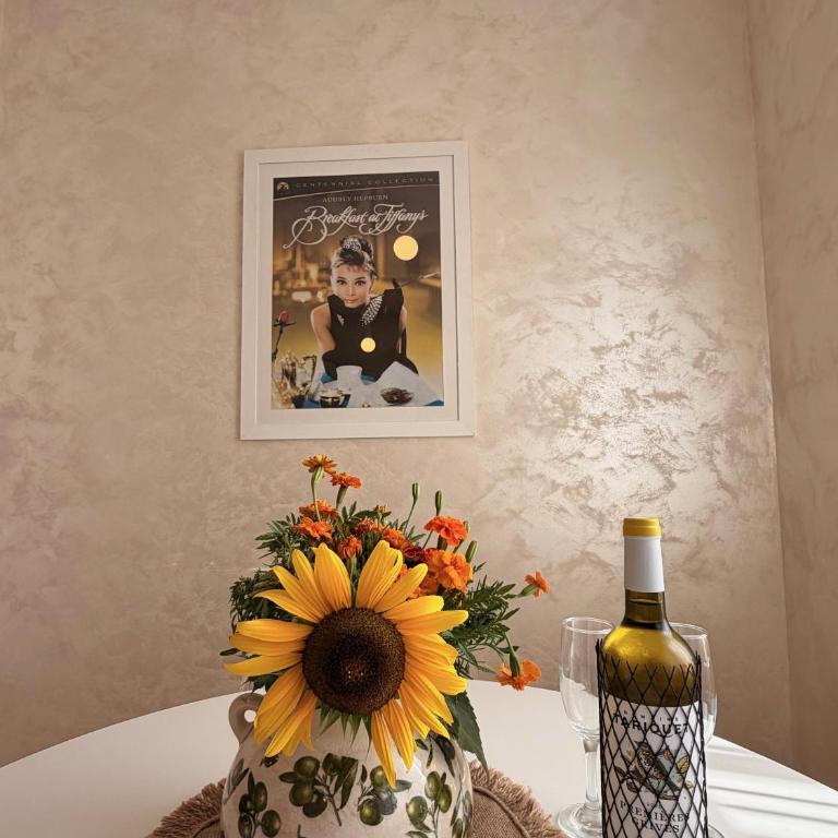 Tiffany apartment - Podgorica - One-Bedroom Apartment - 4