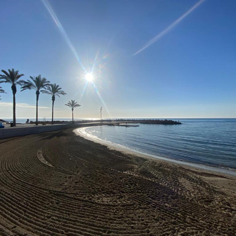ZEN à TORREVIEJA - Apartamento de 3 dormitorios - 2