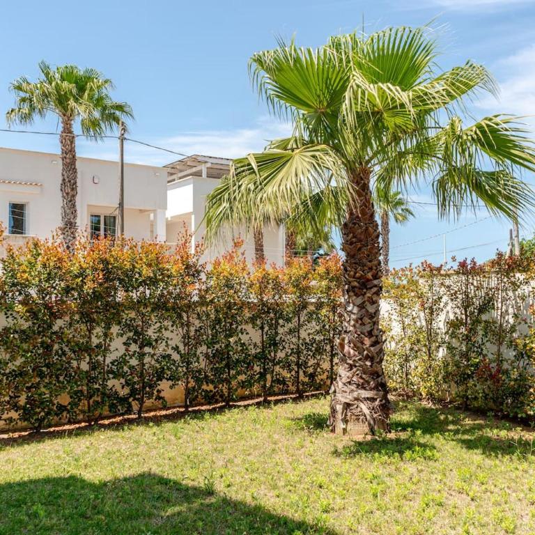 Residence Valentina - Appartamento Armonia int. 1 - Apartment - Ground Floor - 4