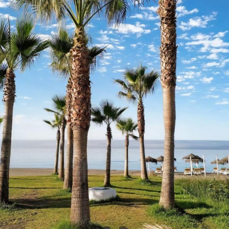 Gran Apartamento Laguna Beach - Apartamento de 2 dormitorios - 36