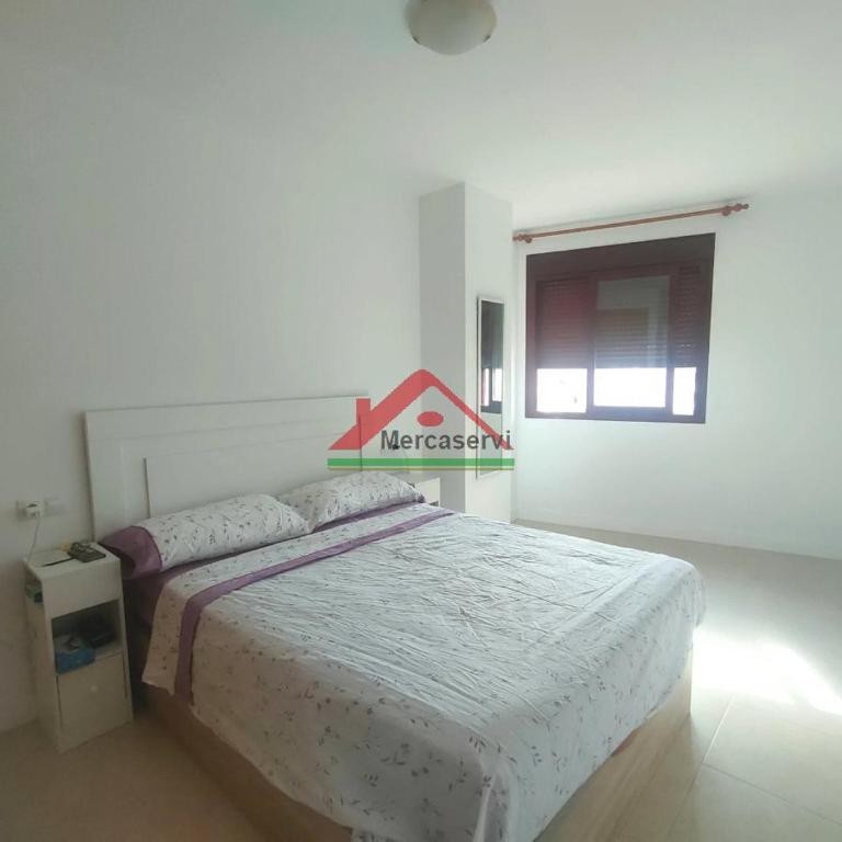 Capitol 5 - Appartement 1 Chambre - 3