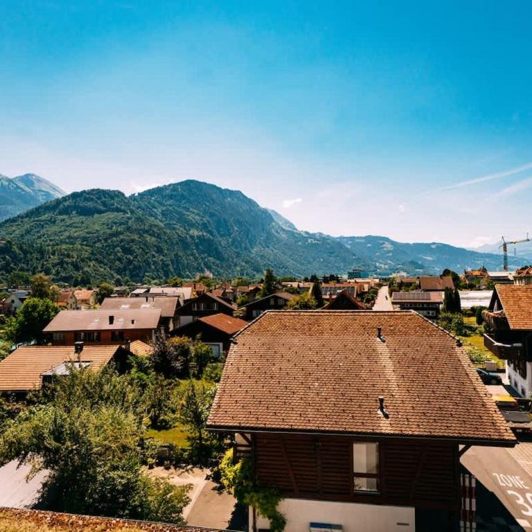 Helvetia Swiss Charm Apartment - Apartment - 19