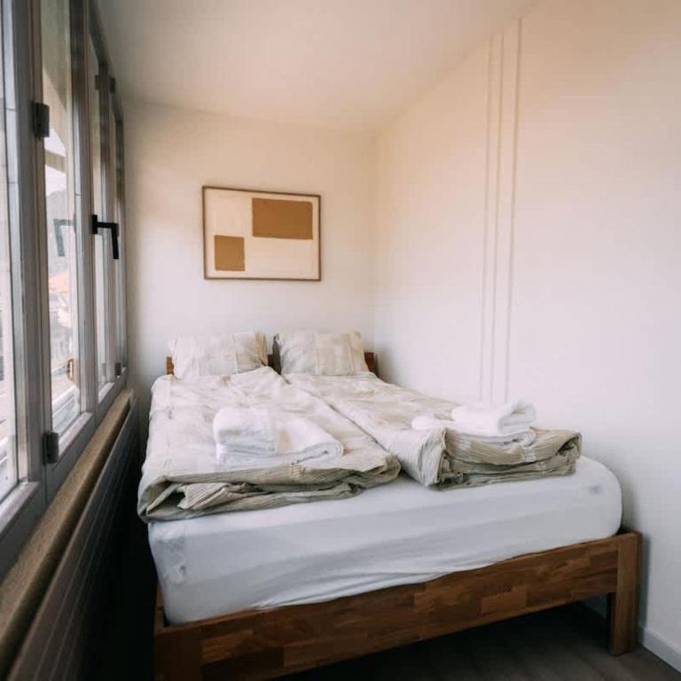 Helvetia Swiss Charm Apartment - Apartment - 20