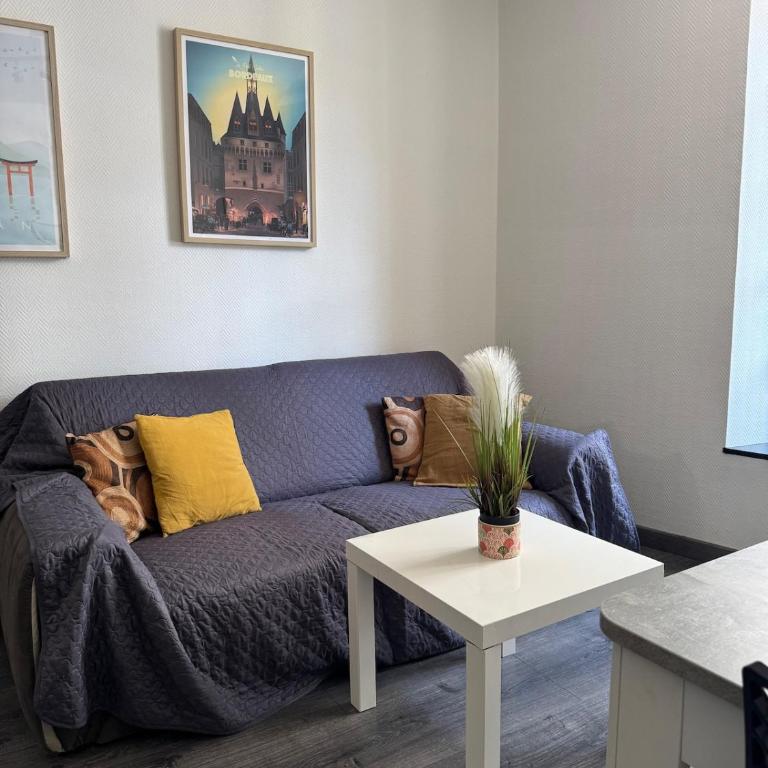 Superbe appartement cosy Centre Bordeaux - Appartement 1 Chambre - 35