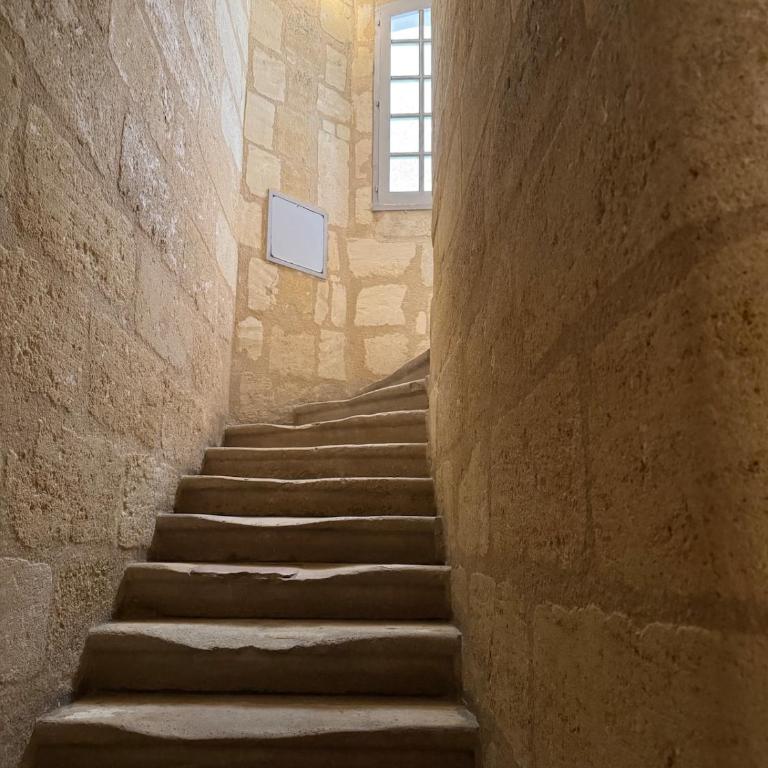 Superbe appartement cosy Centre Bordeaux - Appartement 1 Chambre - 41