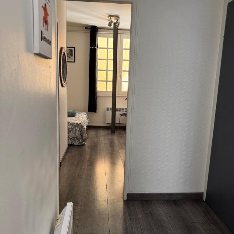 Superbe appartement cosy Centre Bordeaux - Appartement 1 Chambre - 46