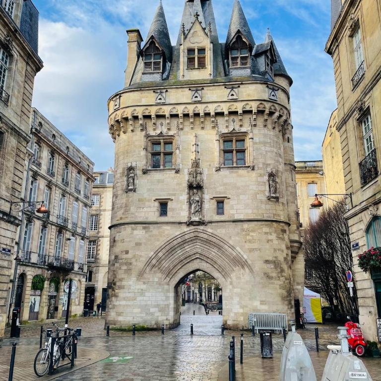 Superbe appartement cosy Centre Bordeaux - Appartement 1 Chambre - 54