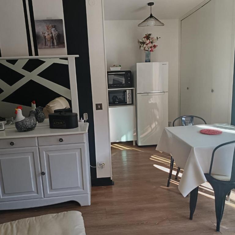 Magnifique studio avec vue au pied des thermes - Appartement 1 Chambre - 4