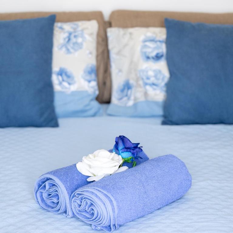 Monacone vista mare - Appartamento con 1 Camera da Letto - 11