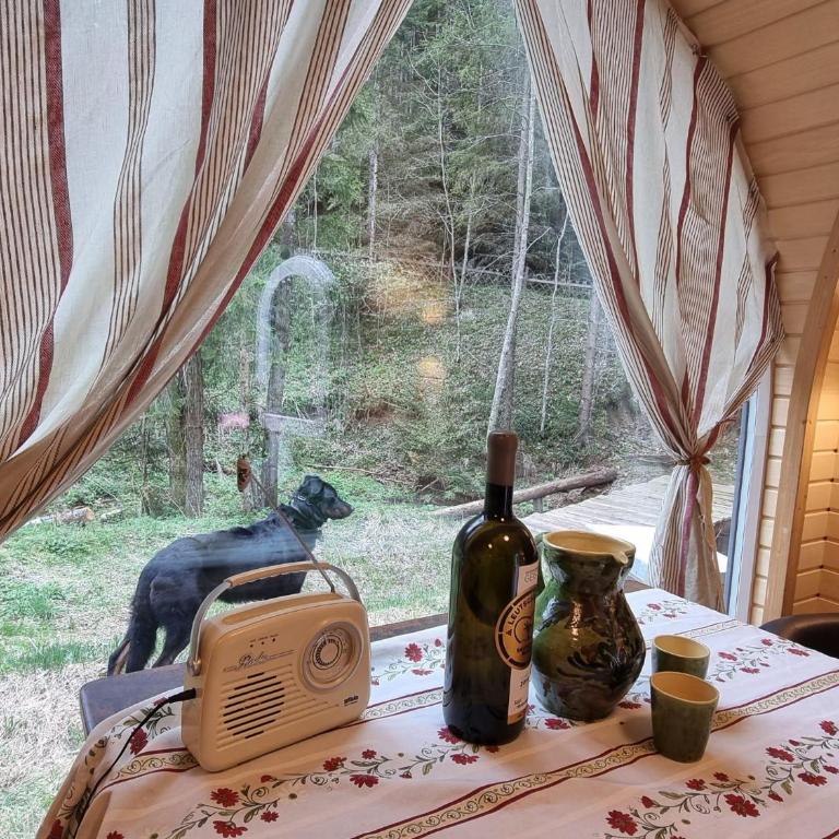 Igluhuts Passail - Ferienhaus mit 1 Schlafzimmer - 6