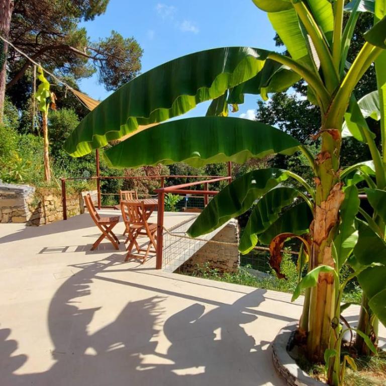 BAMBOO SUITES AREA PORTOFINO Free PARKING - Camera Queen con Vista Giardino - 1