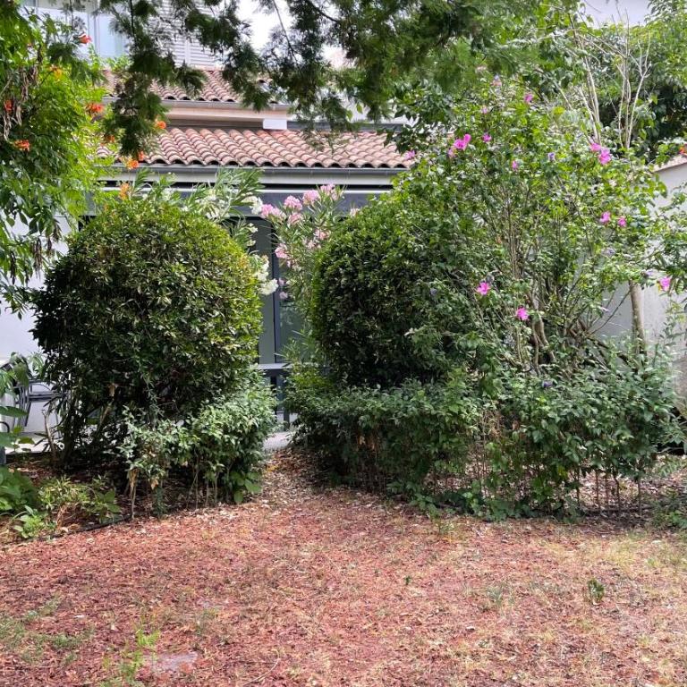 MAISON - Authentique échoppe Bordelaise avec jardin - Villa - 19