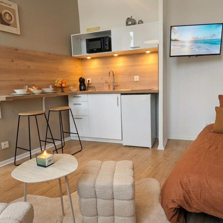Au Fil de l'Eau, Studio Coeur de Metz - Appartement 1 Chambre - 31