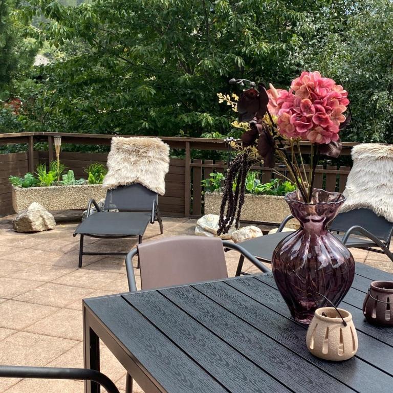 Refuge alpin, vue et grande terrasse - Apartment mit 1 Schlafzimmer - 13