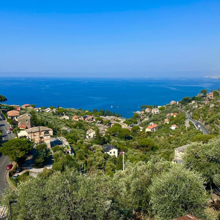 Ca' Maria Colombo, entire accommodation with sea view and garden - Appartamento con 1 Camera da Letto - 6