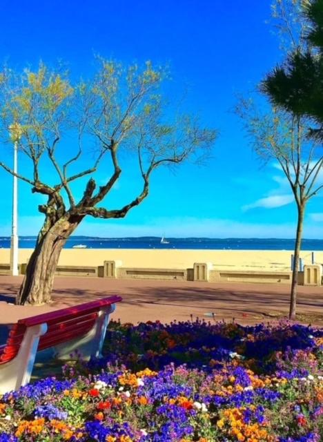 Bed and Breakfast Villa Symphonie Bassin D'Arcachon - Maison 1 Chambre - 13