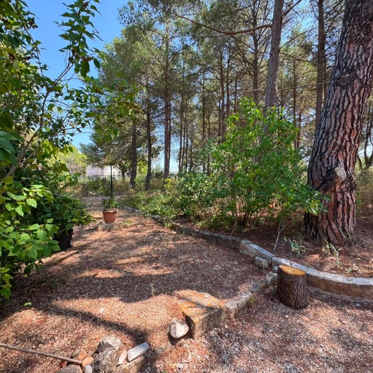 L'Ensoleillade - Maison de campagne avec grand jardin arboré à 5 min d'Aix - Casa de 4 dormitorios - 13