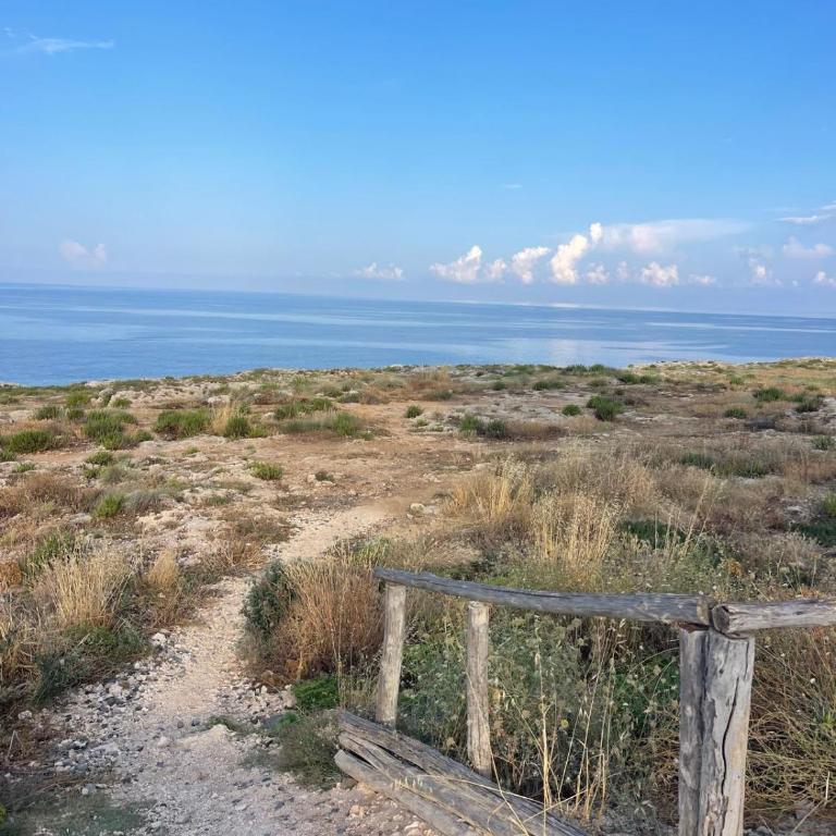 Il Balcone sul Mare - Appartamento con 1 Camera da Letto - 5
