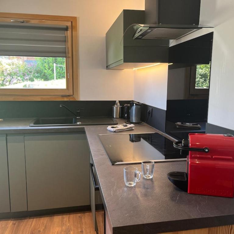 Spacious flat facing Mont Blanc - Appartement 1 Chambre - 4