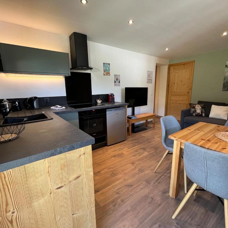 Spacious flat facing Mont Blanc - Appartement 1 Chambre - 3