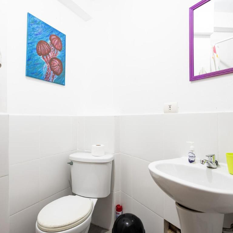El Templo Surf House - Standard Single Room - 24