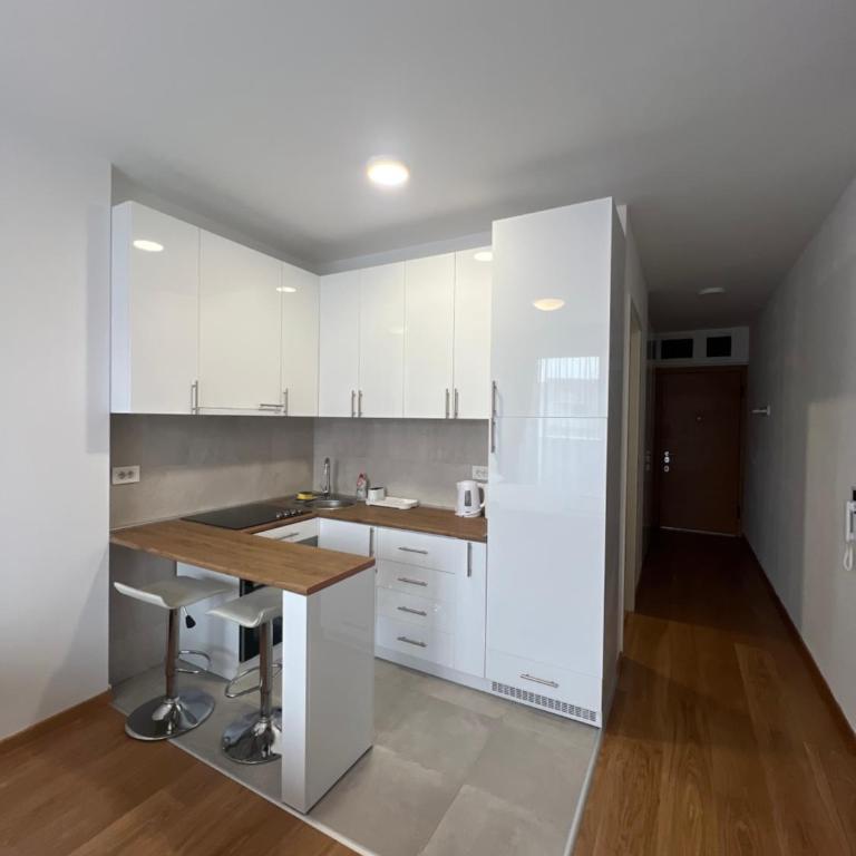 Pupin 29 - Apartment mit 1 Schlafzimmer - 2