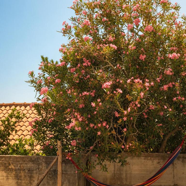 Oleander Garden Apartment with Free Parking - One-Bedroom Apartment - 13