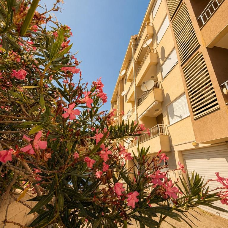 Oleander Garden Apartment with Free Parking - One-Bedroom Apartment - 12