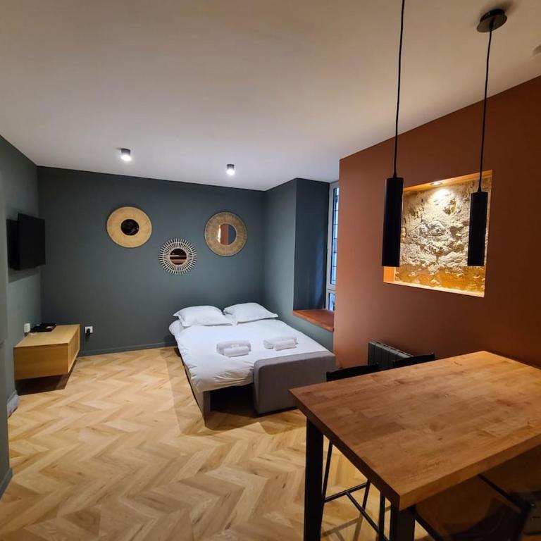 Magnifique Appartement Spacieux - Proche centre - Appartement 1 Chambre - 10