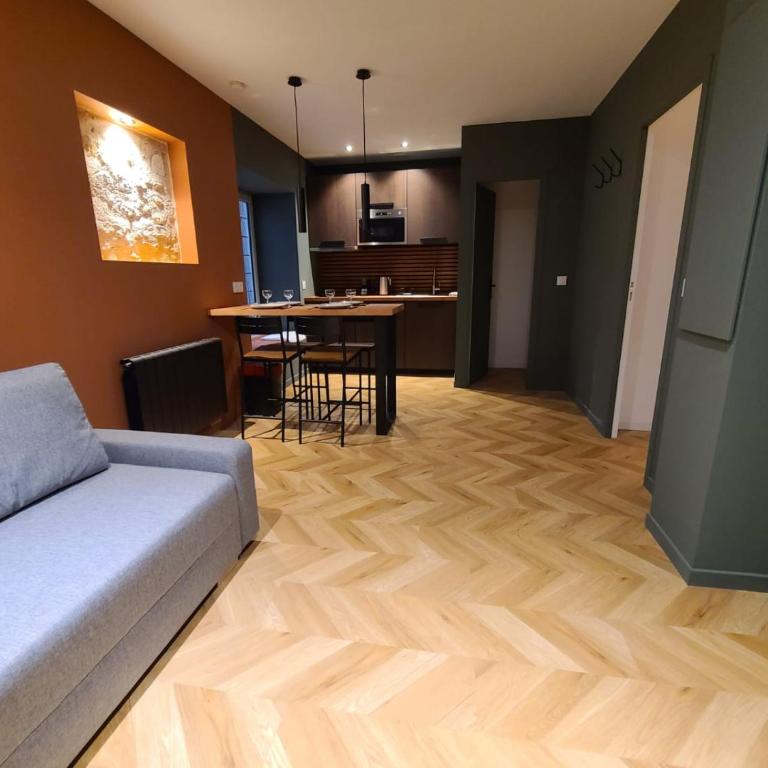 Magnifique Appartement Spacieux - Proche centre - Appartement 1 Chambre - 11