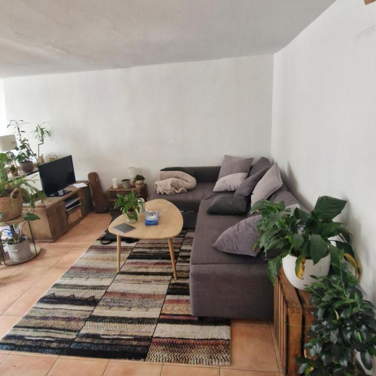 Central and luminous - Appartement 1 Chambre - 2