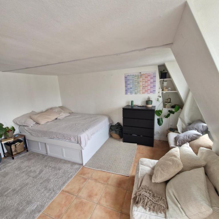 Central and luminous - Appartement 1 Chambre - 6