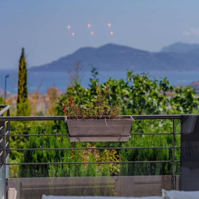 Luxury Villa Cannes Pool Sea View 10 People - Villa - 42