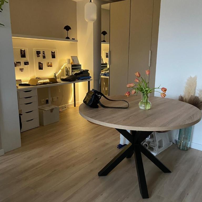 Appartement confortable, proche Genève et gare - Appartement 1 Chambre - 10