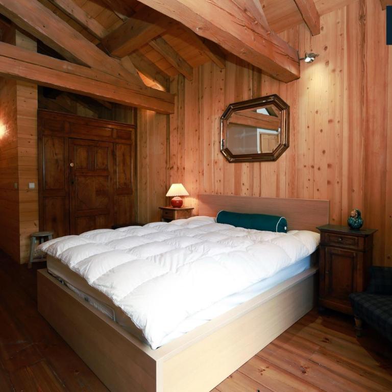 Chalet Olivier - Les Deux Alpes - Apartment - 40