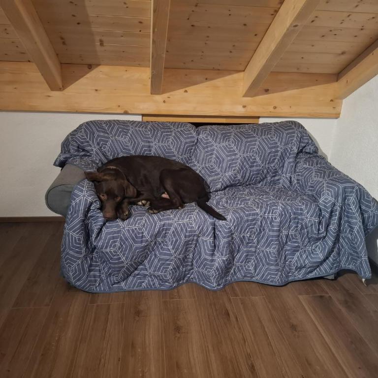 NaturZeit Allgäu - Apartment mit 1 Schlafzimmer und Aussicht - 21