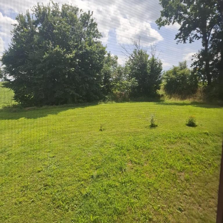 NaturZeit Allgäu - Apartment mit 1 Schlafzimmer und Aussicht - 34
