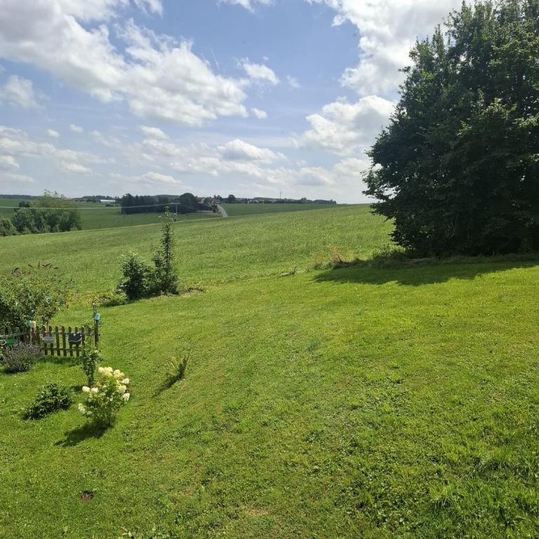 NaturZeit Allgäu - Apartment mit 1 Schlafzimmer und Aussicht - 36