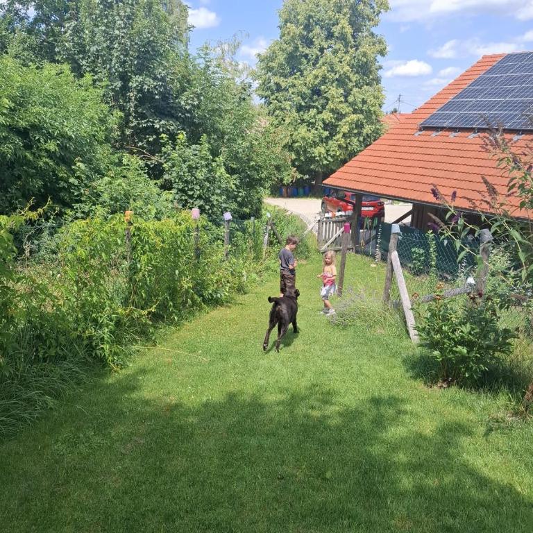 NaturZeit Allgäu - Apartment mit 1 Schlafzimmer und Aussicht - 40