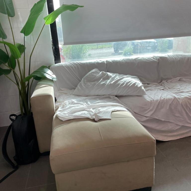 Masc87 Bolo - Appartamento con 1 Camera da Letto - 2