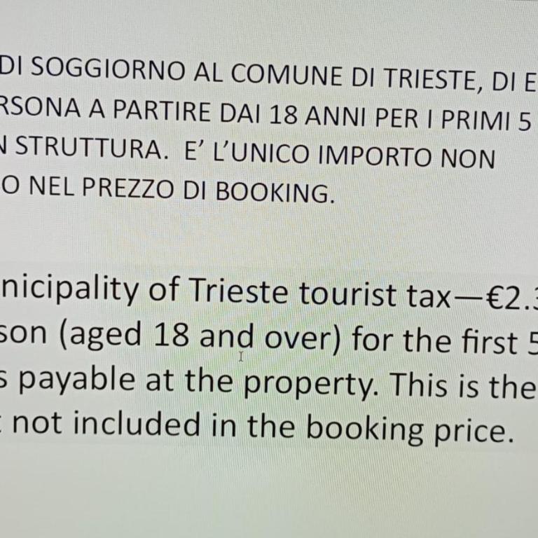 La finestra sul bosco - Appartamento - 46