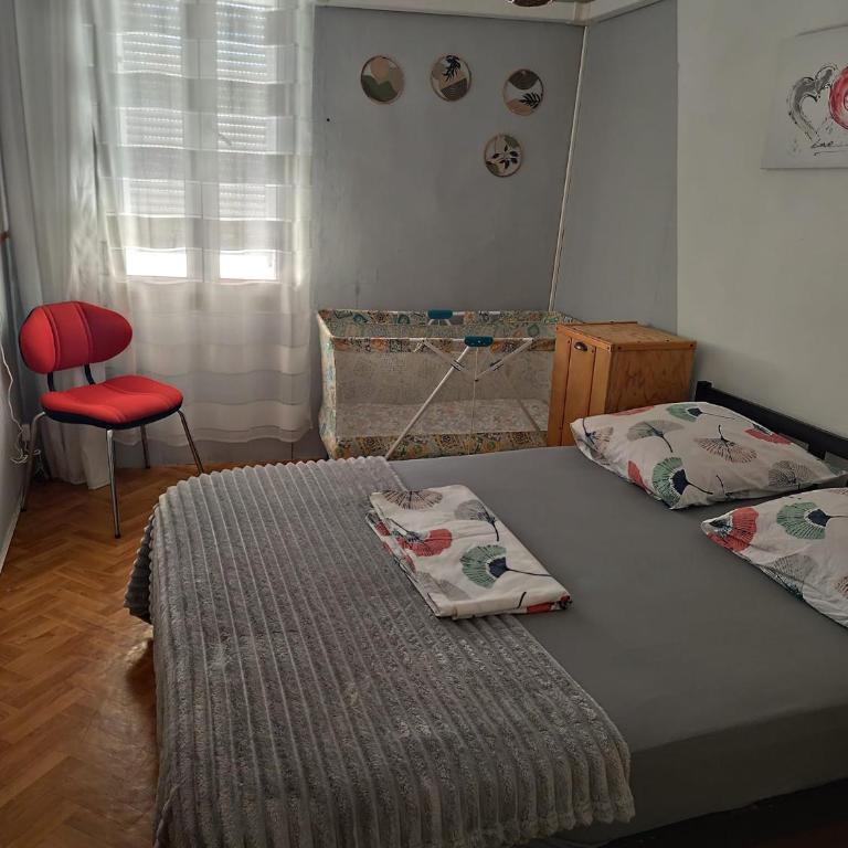 Charmant T2 de 43 m2 - Appartement 1 Chambre - 3