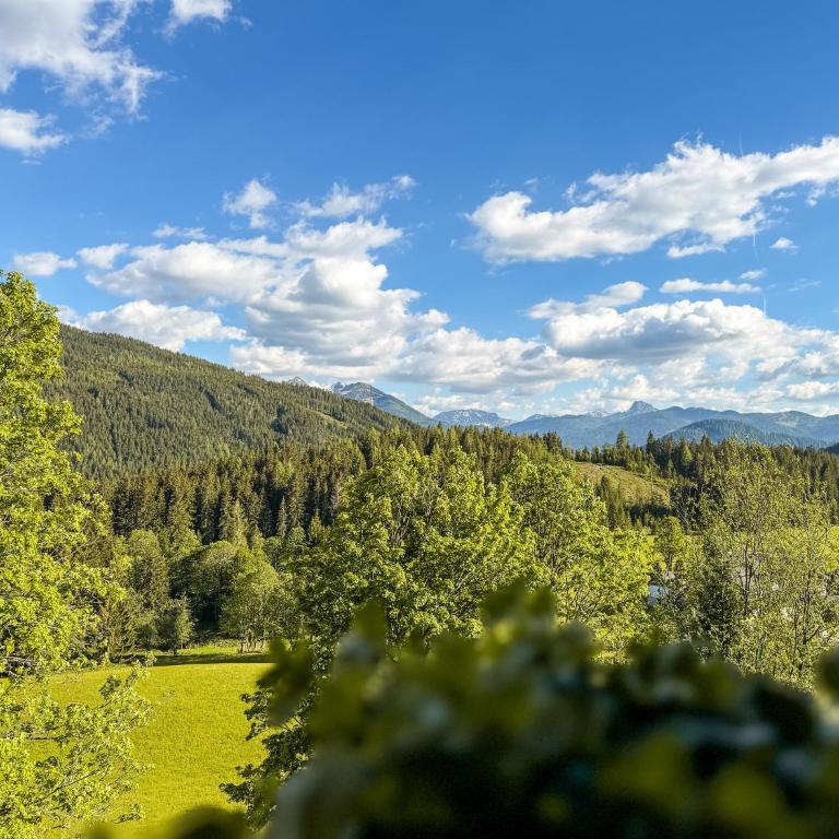 Appartements Haus am Dachstein - One-Bedroom Apartment - 11