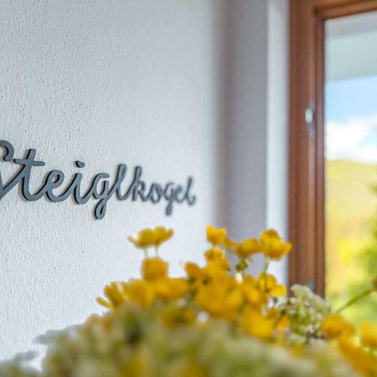 Appartements Haus am Dachstein - One-Bedroom Apartment - 14