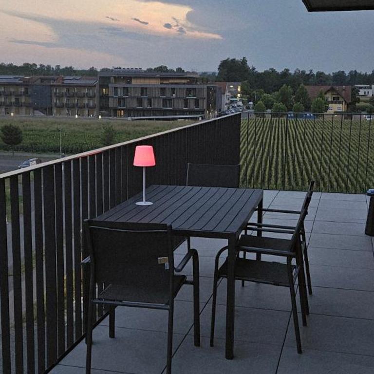 Schlossblick Bad Radkersburg - Penthouse - Apartment mit 2 Schlafzimmern - 8